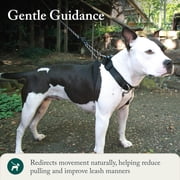 Sporn Big Dog Halter, Black, Large (19-24 Neck Size)