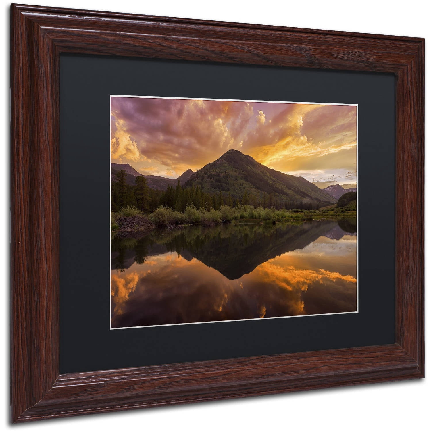 Trademark Fine Art "Orange Majesty" Canvas Art by Michael Blanchette Photography Black Matte, Wood Frame