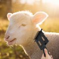 thumbnail image 2 of Miangastore Cattle Hair Scraper Livestock Metal Brush for Cow Grooming 1 Tool, 2 of 9