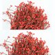 thumbnail image 4 of 100 piezas otoño mimbre corona vid ornamento bayas artificiales tallo bayas falsas Navidad corona decoración boda hogar Decoración JFHHH pequeña, 4 of 5