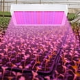 thumbnail image 4 of Board Plant Growth Light Succulent Potted Plant Light LED 216 Bead US Specifications Planting Light Greenhouse Plant Light, 4 of 6