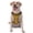 With Accessories, variant on Vsdgher Gold Glitter Pattern Dog Harness,No Pull Pet Harness with Soft Padded Handle,Adjustable Reflective Vest with 2 Buckles,4 Slide Buckles,S-XL Large