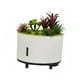 thumbnail image 5 of Difusor de aceites esenciales Gloria humidificador con altavoz y planta realista 200 ml, 5 of 9