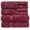 Cranberry, variant on XylehR Luxury Hotel & Spa Quality, Highly Absorbent 100% Turkish Cotton, 750+ GSM, Eco Friendly Towel, Bathroom and Kitchen Dobby Border Towels(8 Piece, Cranberry)