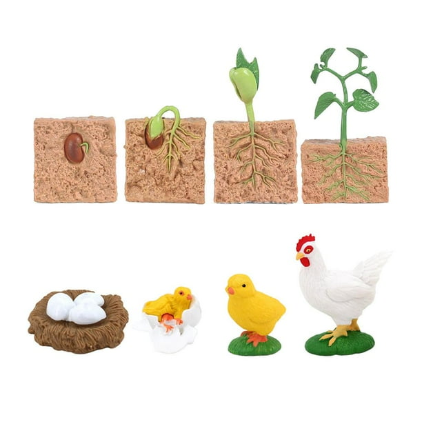 Nature Semillas de de Juguetes para Niños Bebé Aprendizaje Imaginación Juguete