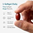 thumbnail image 6 of WELLNESS EXTRACT BioQuinol Ubiquinol (CoQ10) with Geranylgeraniol – Master Antioxidant for Heart Health, Cellular Energy 150mg 60 Softgels, 6 of 9