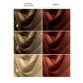 thumbnail image 5 of BOXY COLOR Coloring kit professional, permanent color cream hair dye with Vegetal Protein to get Hair with intense color shiny and silky. 100% Gray Coverage.  (7.45 Mahogany Copper Blonde), 5 of 6