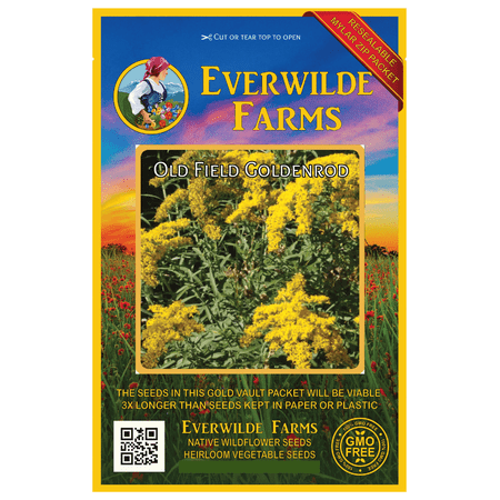Everwilde Farms - 2000 Old Field Goldenrod Native Wildflower Seeds - Gold Vault Jumbo Bulk Seed
