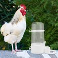 thumbnail image 1 of FUEENIRVA 2Ud Bebedero Automático De Plástico Para Gallinas Y Codornices, 1 of 8