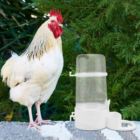 FUEENIRVA 2Ud Bebedero Automático De Plástico Para Gallinas Y Codornices