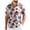 Pink, variant on Leey-World 250 Anniversary Usa Shirt Mens Funny American Flag Shirts for Men: 4th of July Hawaiian Shirt Patriotic Button Down 250 Anniversary USA Outfits(Pink,S)