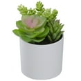 thumbnail image 4 of 5.5" Mixed Artificial Succulent Arrangement in a White Pot, 4 of 5