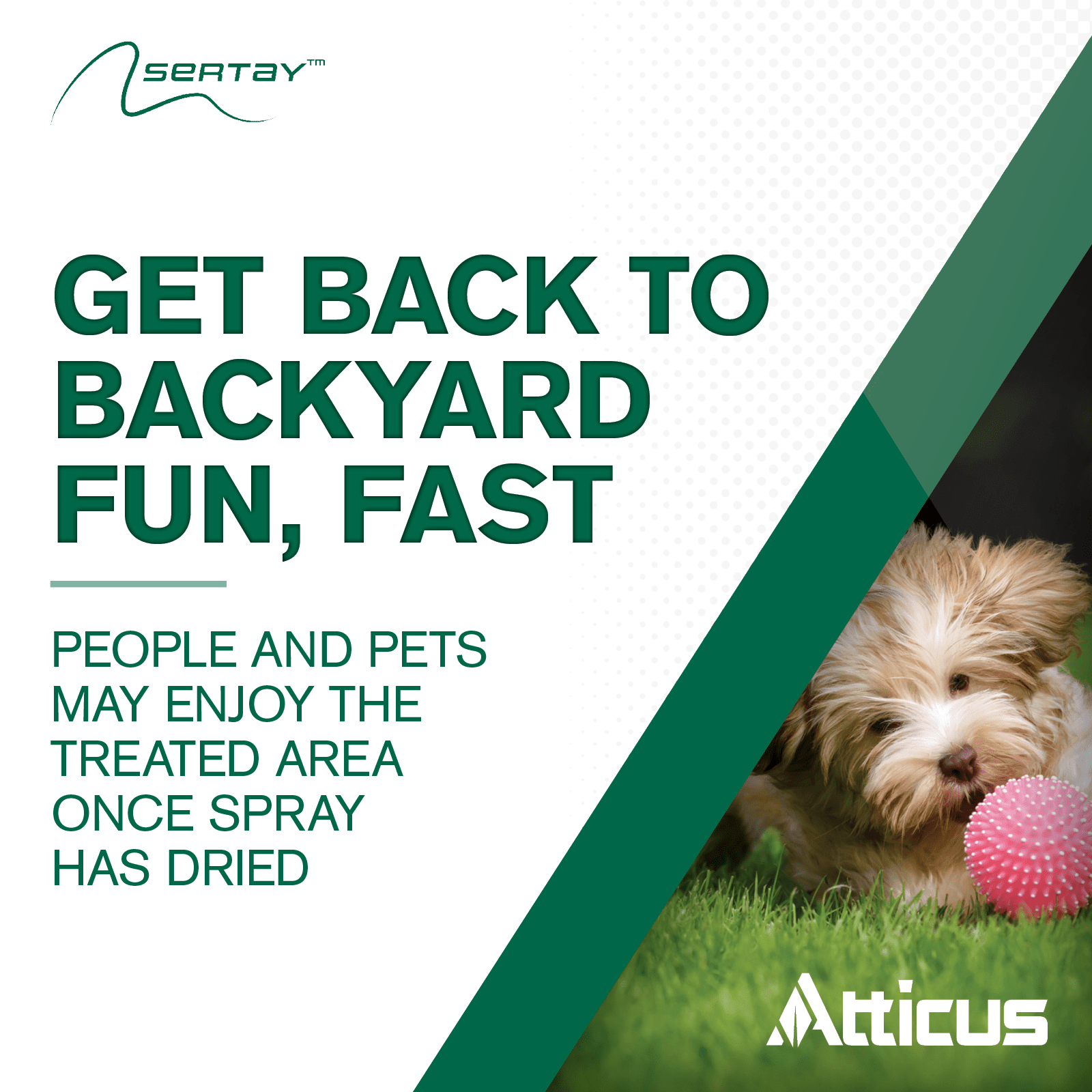 Sertay Herbicide (1.25 oz) - (Compare to Certainty) – Sulfosulfuron Weed Killer for Southern Lawns – Post Emergent Weed Control - by Atticus