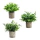 thumbnail image 4 of Plantas artificiales en maceta Strade Fareast Limited 3 piezas, 4 of 8