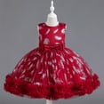 thumbnail image 1 of LOVZFMLL Girls' Summer Short Sleeve Ruffled Lace Round-Neck Embroidery Mesh Princess Bow Skirt, 1 of 3