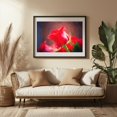 thumbnail image 3 of Radiant Rose - Photography Abstract Floral Modern Art Flowers Nature Psychedelic Surrealism Black Framed Wall Art Print 12 x 18 inches, 3 of 4