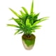 thumbnail image 1 of Juego de 4 macetas con planta artificial para decoración del hogar, oficina Storyland Storyland 57699, 1 of 3