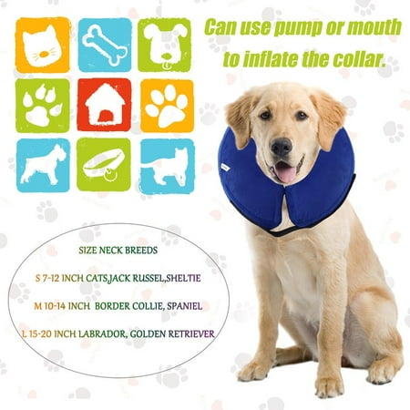 Dog Recovery Collar Walmart Dog Recovery Collar Walmart
