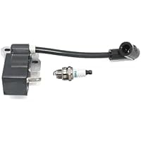 Ignition Coil Module for RY28040, RY26000, RY28021, RY28041, RY52604, RY28060, RY52907, SS26, TP26, Stable Spark, Easy Installation