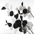 thumbnail image 3 of Atelier B Art Studio 15x15 Black Modern Framed Museum Art Print Titled - Grayscale Branches with Round Shape Leaves, 3 of 5