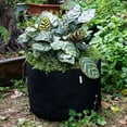 thumbnail image 3 of Rosnek Black Grow Bags Felt Grow Bag Gardening Fabric Grow Pot Vegetable Growing Planter Garden Flower Planting Pot 1/3/5/7/10Gallon, 3 of 7