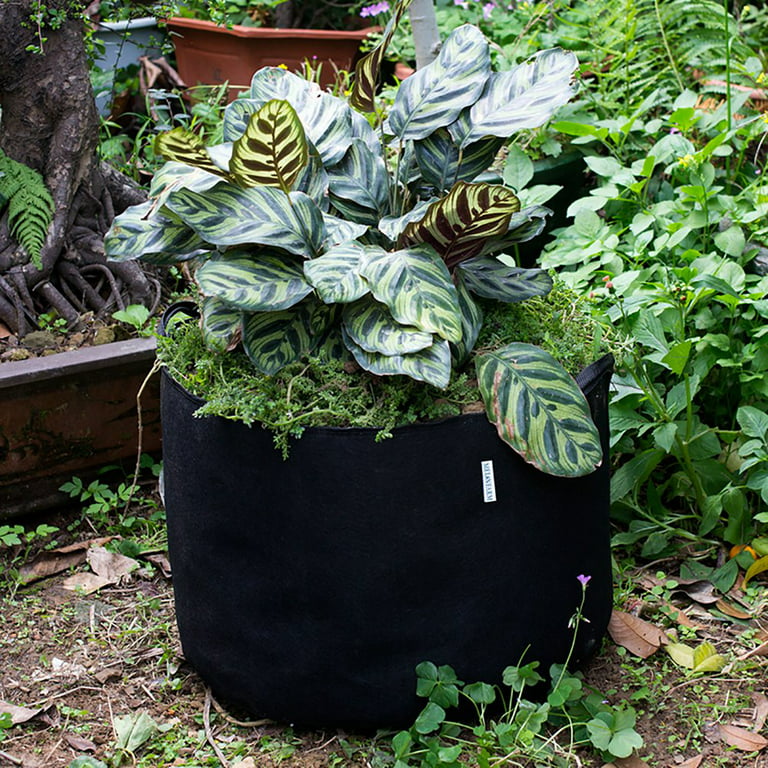 Rosnek Black Grow Bags Felt Grow Bag Gardening Fabric Grow Pot Vegetable Growing Planter Garden Flower Planting Pot 1/3/5/7/10Gallon, Size: 10 Gal