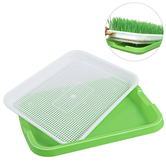 RUNROTOO Sprouter Tray 1Pcs For Microgreens Growing Tray PP Kitchen Use