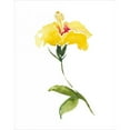 thumbnail image 3 of Mosley, Kiana 12x14 Black Modern Framed Museum Art Print Titled - Watercolor Garden II, 3 of 5
