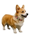 thumbnail image 4 of Collar Cuero Nylon mediana, 4 of 5