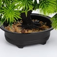 thumbnail image 3 of Advancent Árboles bonsái artificiales: plantas en macetas de plástico resistentes y duraderas de simulación completa tridimensional Decoración XB54-C019, 3 of 6
