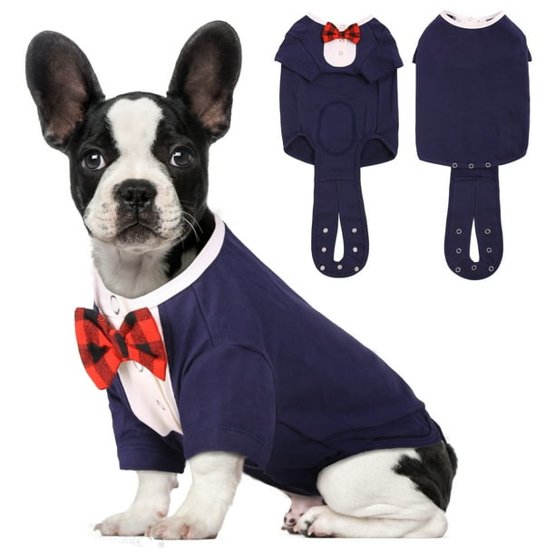 Onesie Dog After Surgery