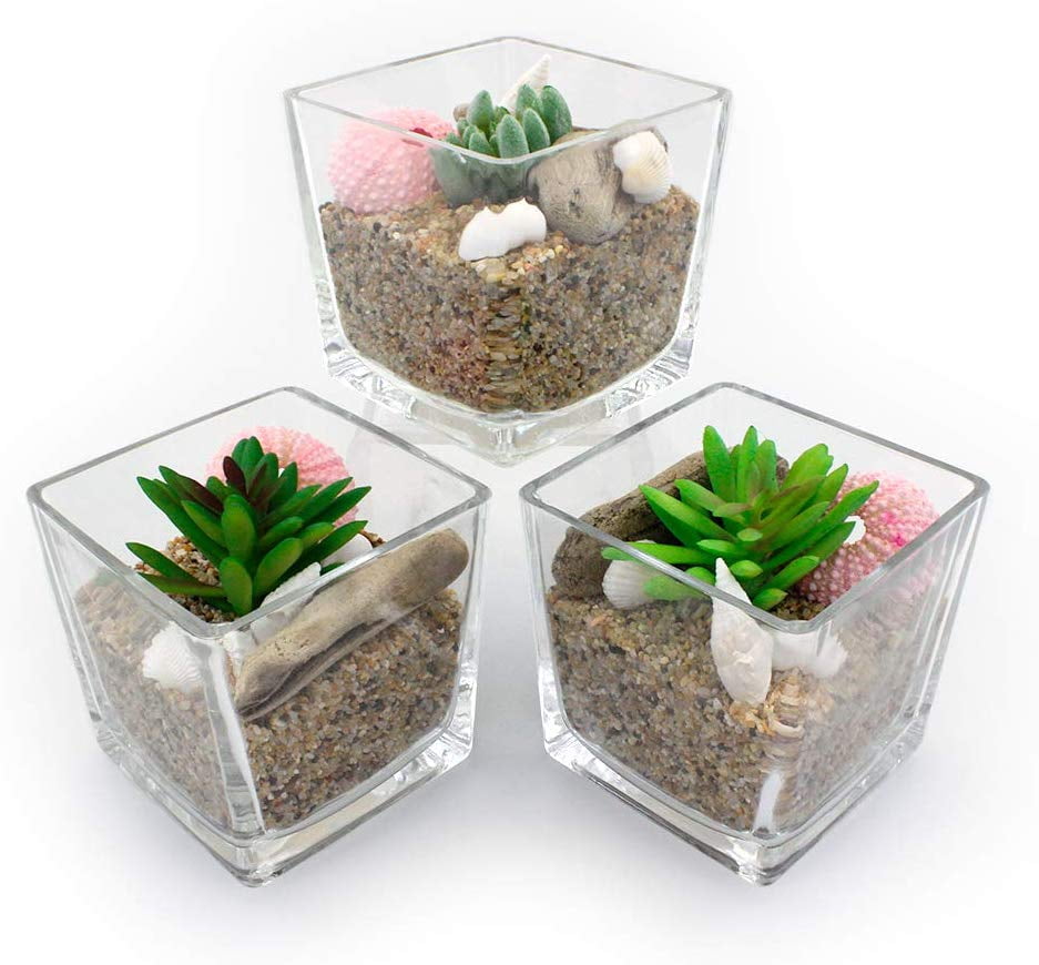 DIY Faux Succulent Glass Terrarium Kit Set of 3 Glass Cube Pots with Artificial Succulents and