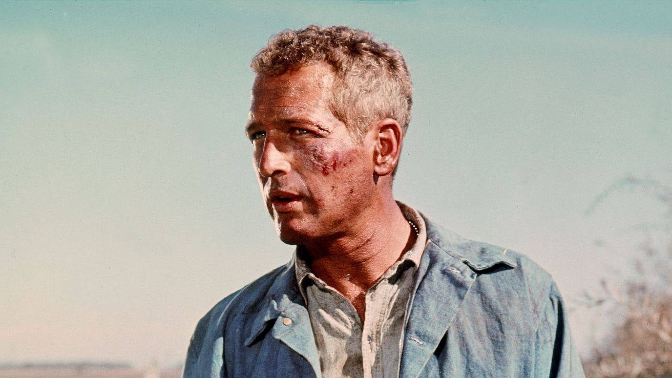 Cool Hand Luke - Deluxe Edition (DVD), Universal Import, Drama