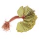 thumbnail image 2 of Herramientas 100 Piezas Etiquetas Plantas Etiquetas Plástico Etiquetas Impermeables PVC Etiquetas Plántulas Suculentas Etiquetas Jardinería Etiquetas Flores 3 6*2 5 CM (amarillo), 2 of 7