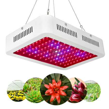 Led Grow Light,600w Dual Chip Led Grow Lights for Indoor Plants Full Spectrum 380-730nm Growth Lighting Greenhouse Hydroponic Systems Grow (Best Led For Coral Growth)