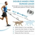 thumbnail image 4 of Hands Free Dog Leash with Zipper Pouch, Dual Padded Handles and Durable Bungee for Walking, Jogging and Running Your Dog, 4 of 16