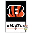 thumbnail image 1 of NFL Bengals de Cincinnati - Logo 21, 1 of 4