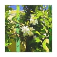 thumbnail image 2 of Jasmine's Street Monet - Canvas, 2 of 25