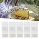 thumbnail image 4 of Caza de Abejas, Plástico + Esponja de Intercambio de Materias REINAS Para Las Jaulas de Transporte de Abejas, Para La Herramienta de Abejas, 4 of 7
