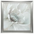 thumbnail image 2 of 28" X 28" Silver Frame Winter Blooms I, 2 of 2