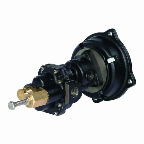 Dayton Rotary Gear Pump Head, 1 In., 1 1/2 HP 4KHC9