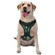thumbnail image 1 of Fotbe Mystical Black Cat Fireflies Arnés para Perro con Estampado –Chaleco Ajustable Acolchado con Asa de Control para Perros Grandes-Small, 1 of 6