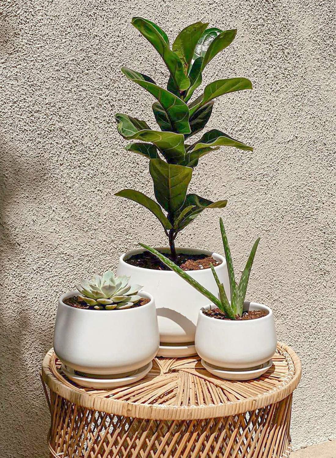 BEMAY Set of 3 Ceramic Plant Pots, 4.1" 5.1" 6.5" Indoor Planters with Drainage Hole and Saucer, White Round Flower Pots (Plants Not Included)