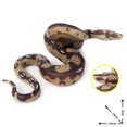 thumbnail image 4 of 2PCS Simulation Serpent Jouets de Figure de Serpent pour Cadeau Partie Farce Accessoires, 4 of 8