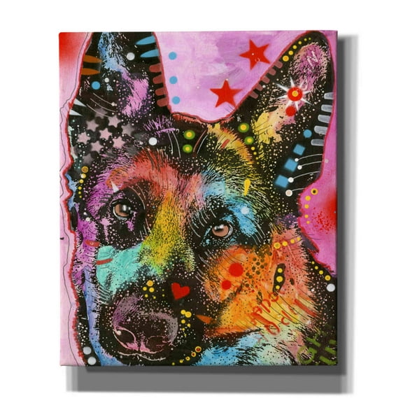 Epic Graffiti 'Shepherd Star' by Dean Russo, Canvas Wall Art, 20"x24"