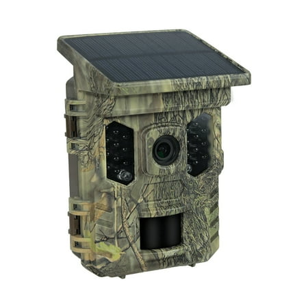 Trail Cam Camera Solar With 4k With 1080p Solar Cam 4k Bt Wifi App With 1080p Vision Camera Durable Plant/animal App Wifi Enabled Wifi Enabled 16mp App And Vision 16mp Ip66 Waterproof