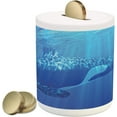 orca-piggy-bank-fascinating-underwater-photo-of-killer-whale-swimming