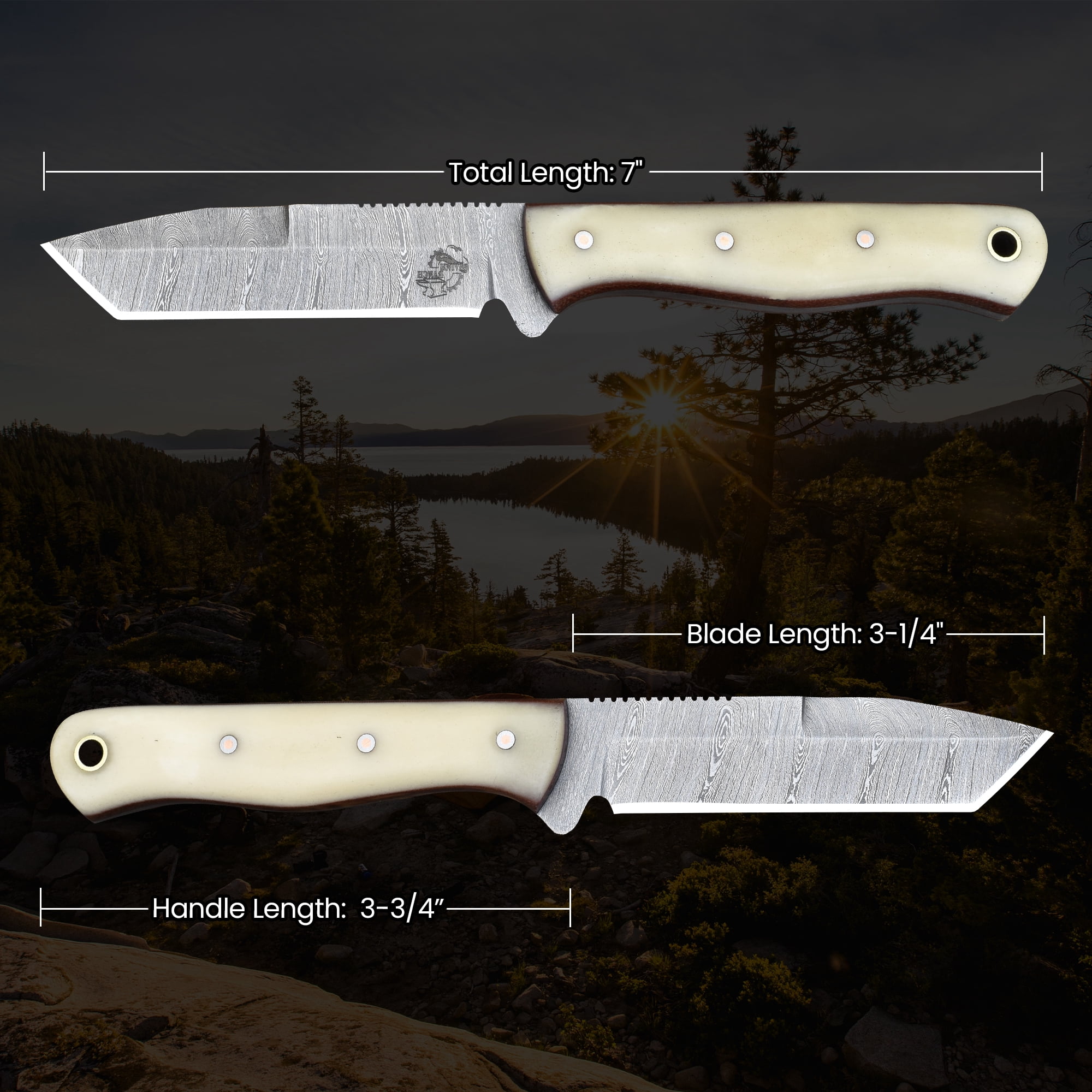 Knives Ranch Handmade 7 inch EDC Tanto Knife - Full Tang Damascus Steel Blade - Compact Everyday Ranch Utility Knife - Natural Cattle Handle - Genuine Leather Sheath - Horizontal Belt Carry (Snug Fit