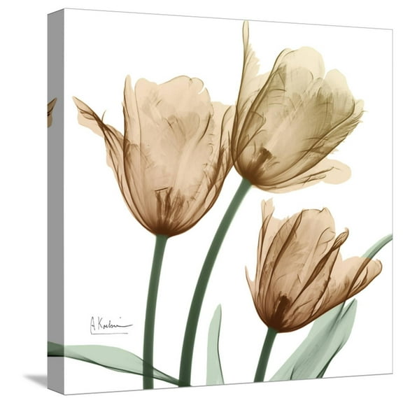 Art.com Autumn Tulips 1 Stretched Canvas Print Wall Art by Albert Koetsier, 16" x 16"