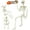 3pcs Skeleton, variant on Ayieyill 2pcs Skeleton and Dog Skeleton Halloween Decorations Posable Skeletons Halloween Decorations Indoor Outdoor